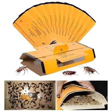 Cockroach Glue Trap
